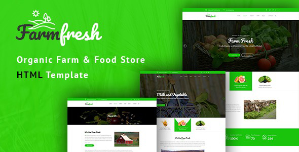 Template là gì? Giải pháp để thiết kế website nhanh chóng, tiết kiệm và hiệu quả - Ảnh 1.