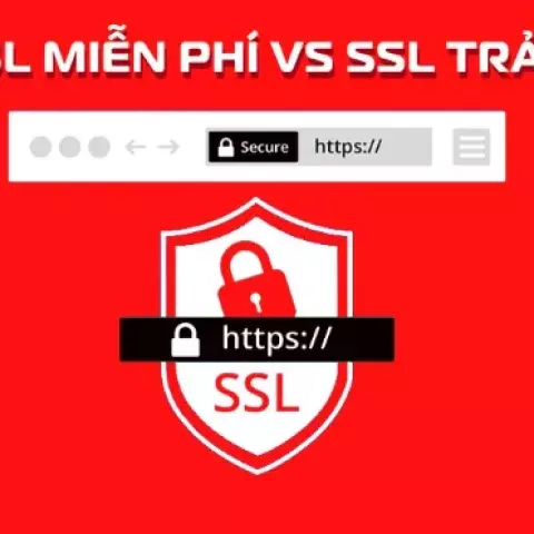 SSL miễn phí và trả phí – Đâu là lựa chọn thông minh?