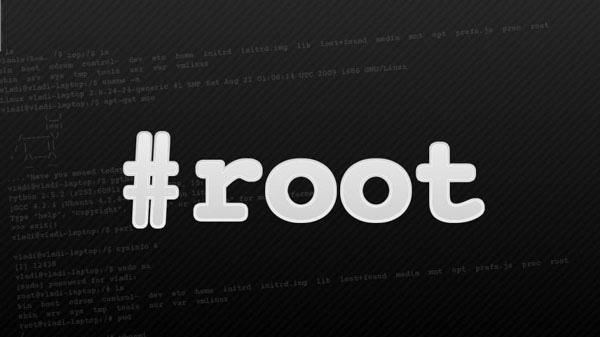 What is root access on a VPS? What you need to know