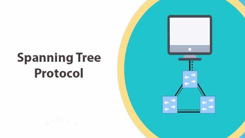 Spanning Tree là gì? Lợi ích của giao thức Spanning Tree?